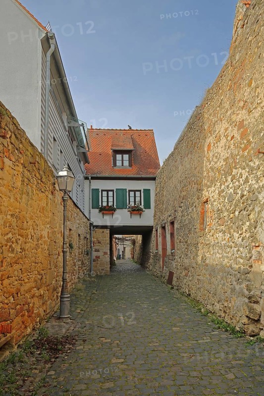 Gatehouse and timber-frame house historic city wall, city fortifications, Nördliche Ringstraße, Freinsheim, Rhineland-Palatinate, Germany