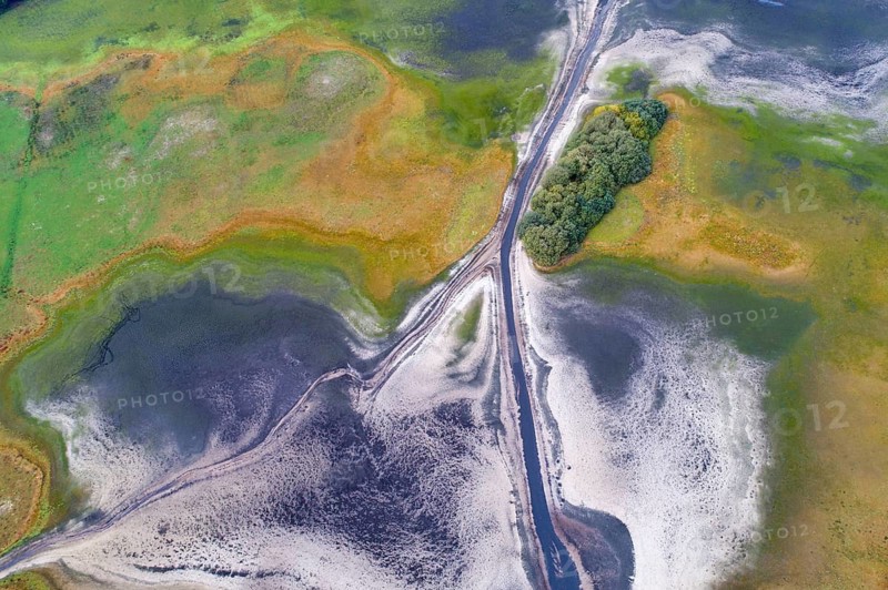 Mixed forest in autumn, colouring, aerial view, forest, autumnal, Ahlhroner Fischteiche, Niedersächsische Landesforst, Ahlhorn, Lower Saxony, Germany