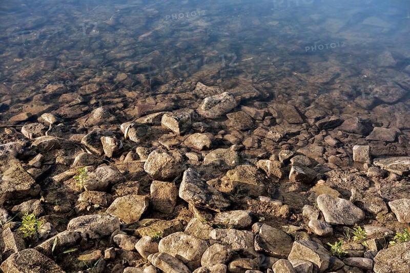 Shoreline of Weser River near Oberweser, Upper Weser Valley, Weser Uplands, Weserbergland, Hesse, Germany