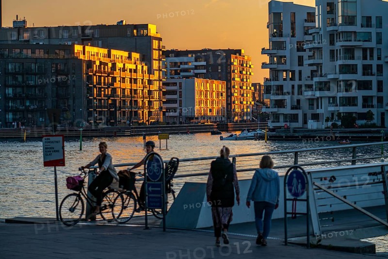 Residential buildings, apartment buildings, condominiums, at the harbour, Havneholmen and Nobelholmen (left), at the Sydhavnen district, in the evening light, Copenhagen, Denmark
