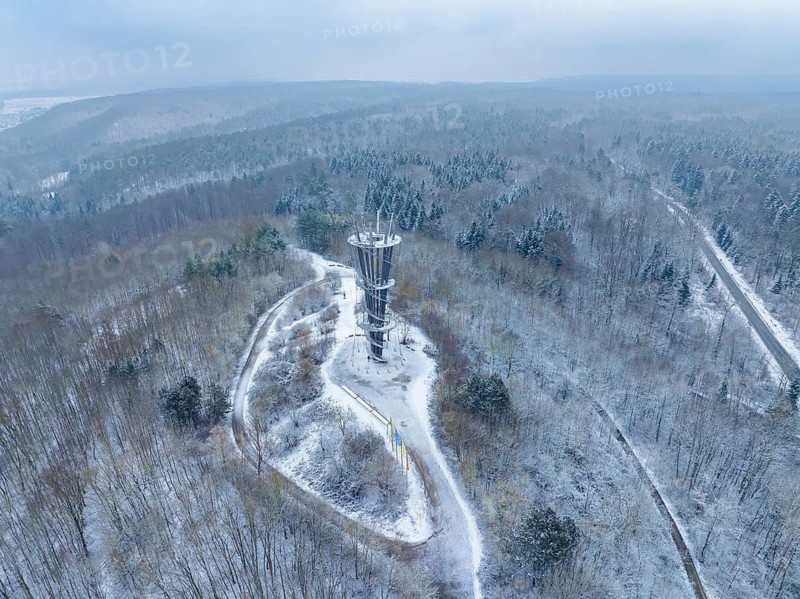 Winter forest with high tower and winding paths, Schönbuchturm, Herrenberg, Germany