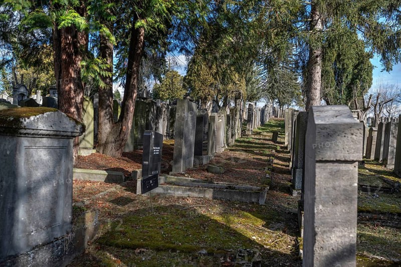 Old graves at the Israeli cemetery, inaugurated in 1882, Werner-von Siemens Str. 2, Würzburg, Lower Franconia, Bavaria, Germany