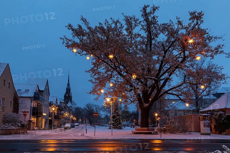 Oak tree on Wettinplatz with Herrnhut stars, star tree, in the background the New Church of Peter and Paul, Coswig, Saxony, Germany