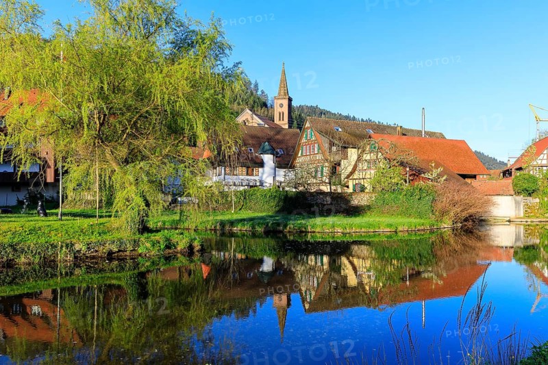 The town church and historic half-timbered houses of the tanning town are reflected in the Kinzig, at the mouth of the Schiltach, Schiltach in the Black Forest, Baden-Württemberg, Germany