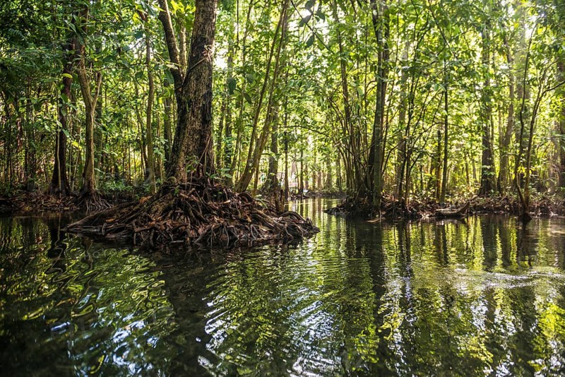 Lagoon, Klong Rud, Klong Nam Sai, Ao Nang, Krabi, Thailand