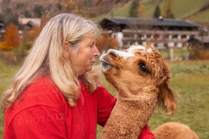 An elderly woman lovingly interacts with a brown alpaca in the lush countryside of Austria, showcasing a tender human-animal connection against a backdrop of vibrant autumn colors and a traditional wooden house