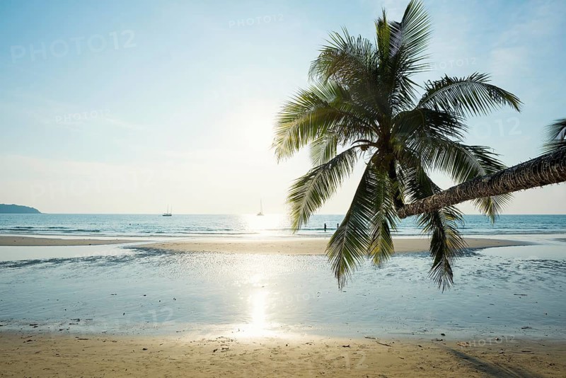 Sandy beach beach with coconut palms, Khlong Chao Beach, sunset, Koh Kood, Koh Kut, Gulf of Thailand, Thailand