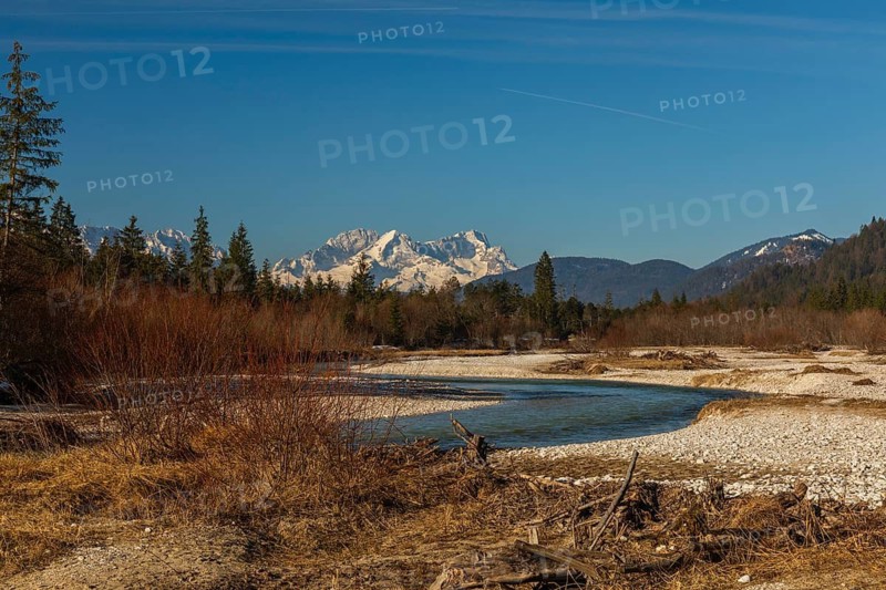 Isar valley nature conservancy area. The wild Isar river flows through its gravel bed past driftwood and entrained trees and bushes . Early morning