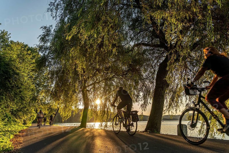 Cycling on Lake Baldeney, around 14 kilometres around the Ruhr reservoir, summer evening on the eastern shore, Essen, North Rhine-Westphalia, Germany