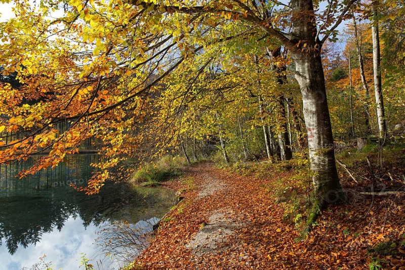 Autumn mood at lake Almsee, Grünau, Austria, Totes Gebirge