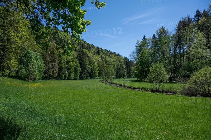 Spring landscape in the Auseß valley, on the right the river Auseß, Doos, Upper Franconia, Bavaria, Germany