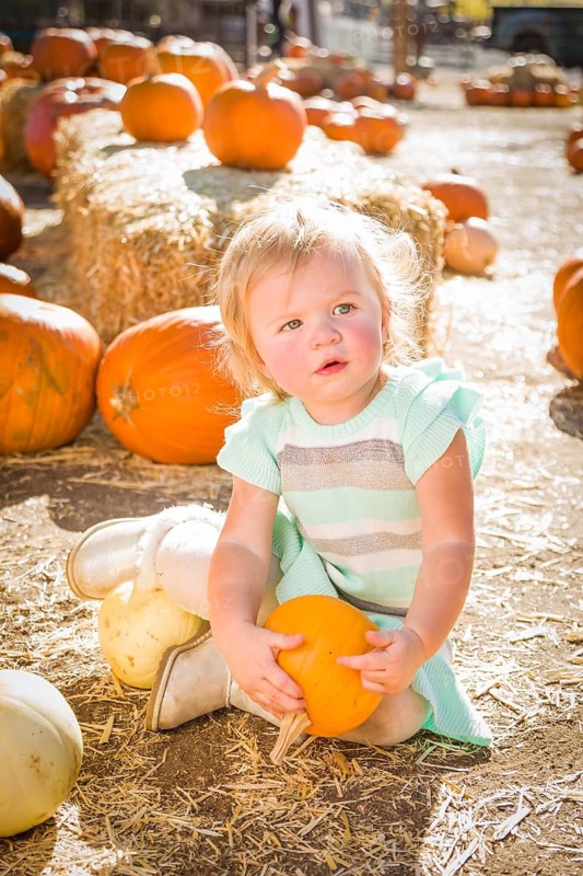 Adorable Baby Girl Having Fun in a Rustic Ranch Setting at the Pumpkin Patch