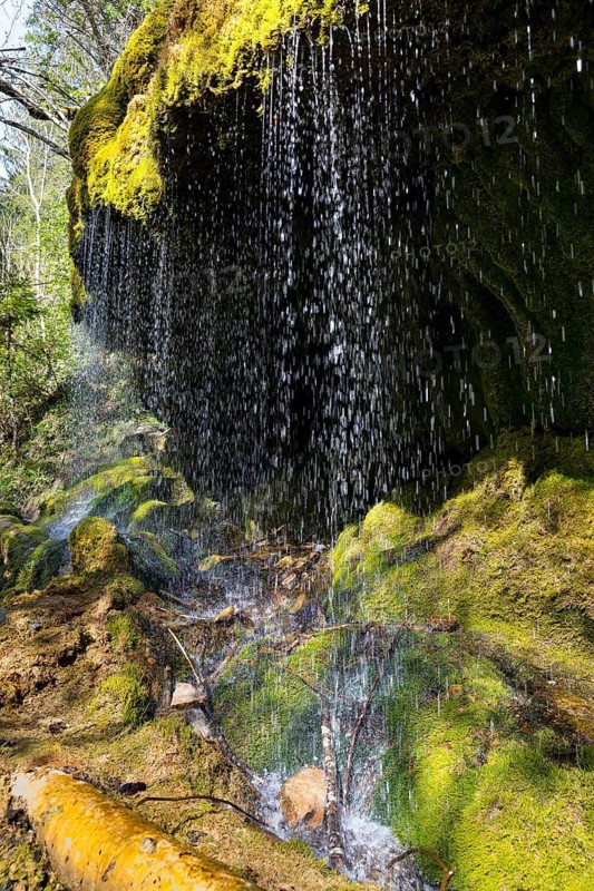 Dietfurt Waterfall, a moss waterfall in the Wutach Gorge, Black Forest, Baden-Württemberg, Germany