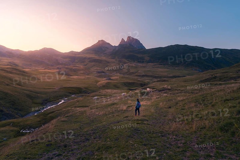 A lone hiker strolls across a vast, serene mountain landscape at sunrise, surrounded by grazing sheep and a gentle stream under a pastel sky, evoking peace and adventure in summer