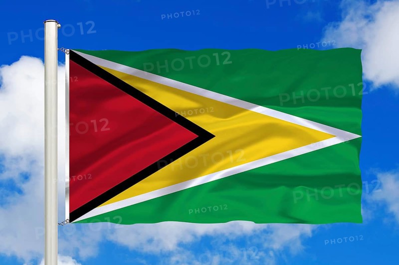 South America, Guyana, national flag, national flag, flag, flagpole, cumulus clouds against blue sky, studio