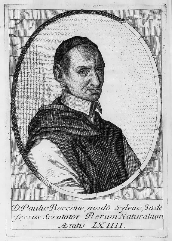Paolo Boccone (later Brother Silvio, born 24 April 1633 in Palermo, died 22 December 1704 in Altofonte) was an Italian Cistercian monk and botanist, reproduction from an original of the time, historical, digitally enhanced