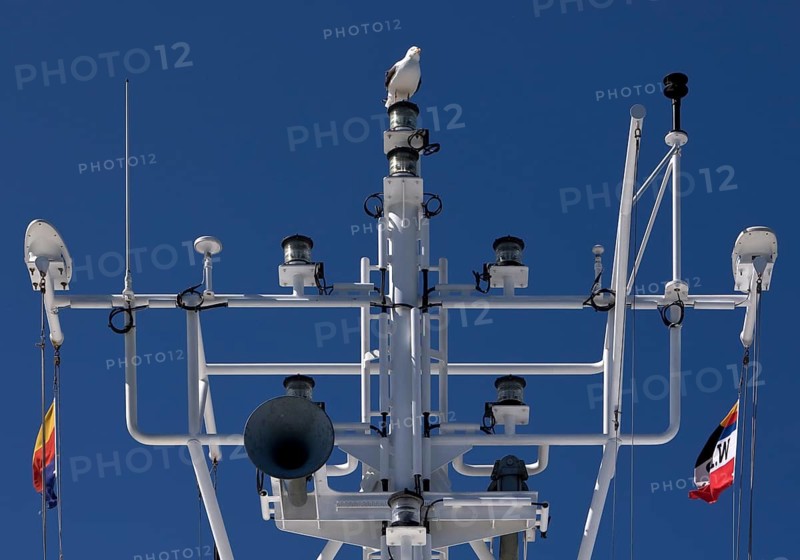 Technical masts with travelling seagull on the ferry Norderaue between Wyk auf Föhr and Dagebüll, North Sea, North Frisia, Germany