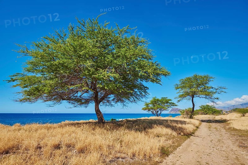 Landscape of the Kahe Point Beach Park, Hawaiian Island Oahu, O?ahu, Hawaii, Aloha State, United States