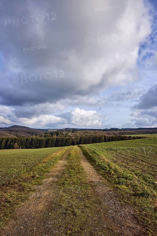 Agriculture, fields, hilly landscape, coniferous forest, landscape, landscape photography, blue sky, cumulus clouds, dirt road, Dreis-Brück, Eifel, Vulkaneifel district, Rhineland-Palatinate, Germany