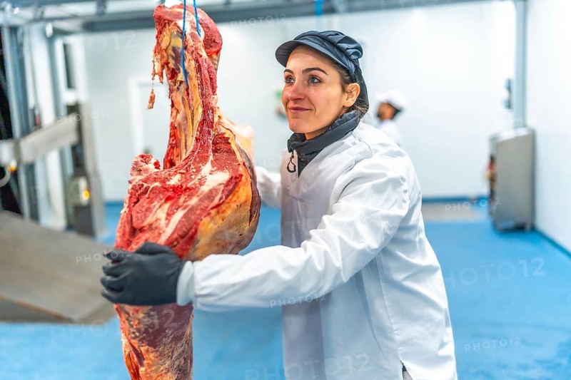 Caucasian adult woman unloading meat from truck in a cold storage room in a meat factory
