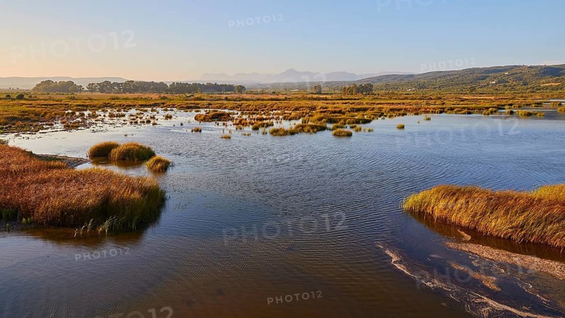 View over a vast water area surrounded by grasses under the morning sun, Gialova lagoon, protected wetland, bird paradise, Navarino Bay, Pylos, Peloponnese, Greece
