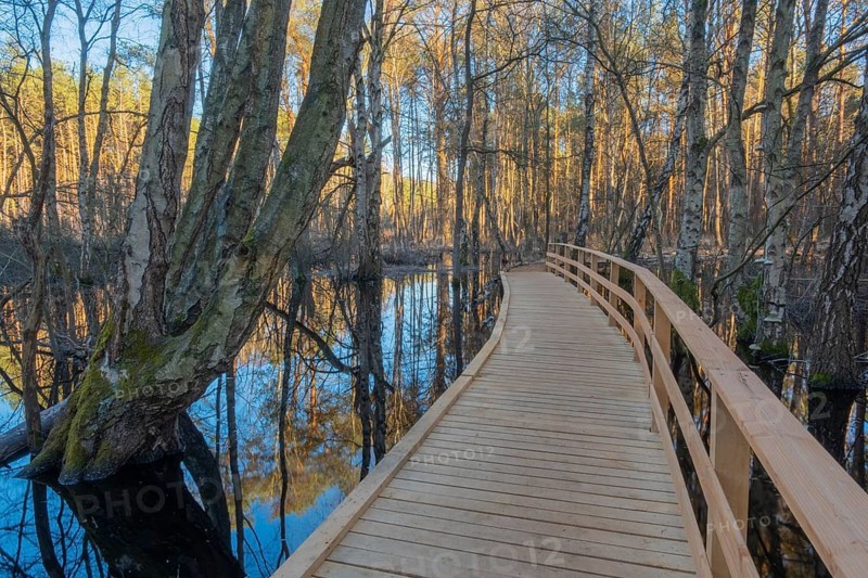 View along a moor bridge of a moor adventure trail, Otternhagener Moor, Resse, Neustadt am Rübenberge, Hanover, Lower Saxony, Germany