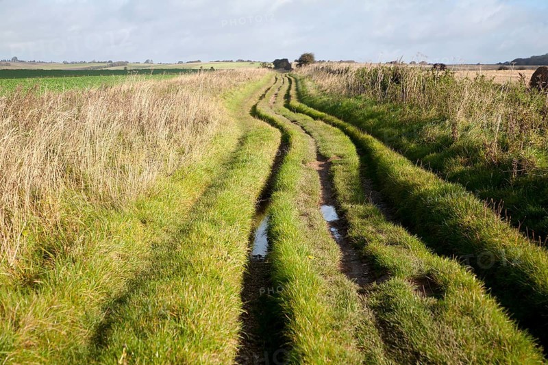 The Ridgeway long distance footpath dating from prehistory near its start on Overton Hill, Marlborough Downs, Wiltshire, England, UK