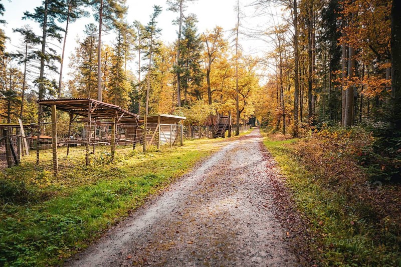 A simple path through a rural scenery with fences and foliage, Calw, Black Forest, Germany
