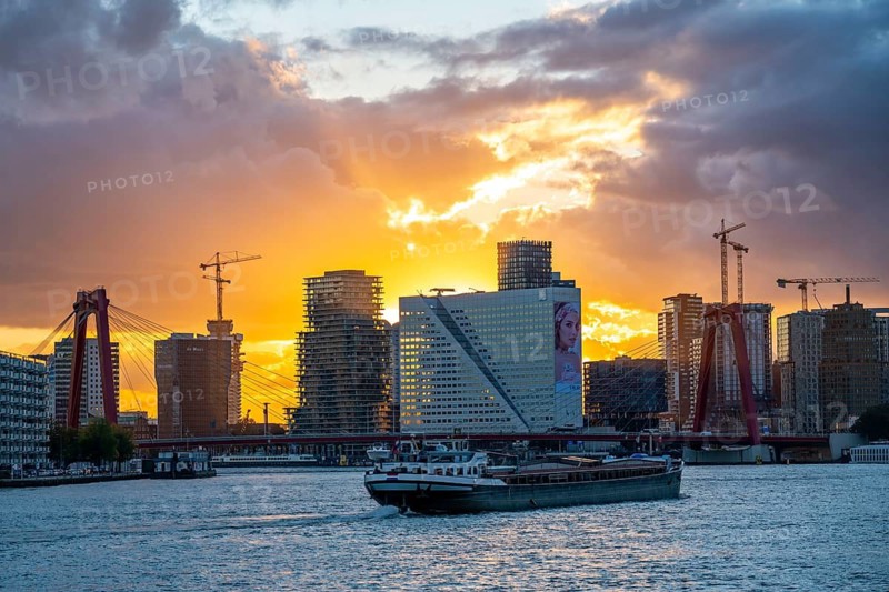 The skyline of Rotterdam, with the Willemsbrug over the Nieuwe Maas, Netherlands