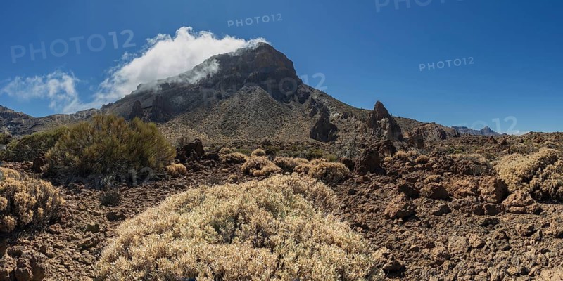 Faded Teide gorse and the summit of Montaña Guajara, also: Alto de Guajara, 2715m, crater walls, Caldera de las Cañadas, a huge volcanic cauldron, Teide National Park, Parque Nacional del Teide, Tenerife, Canary Islands, Spain