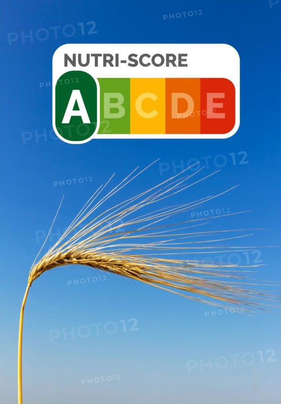 A single barley stalk, symbolic photo for agriculture and healthy nutrition. Single ear, blue sky, Nutri-Score seal, nutritional value, nutritional quality