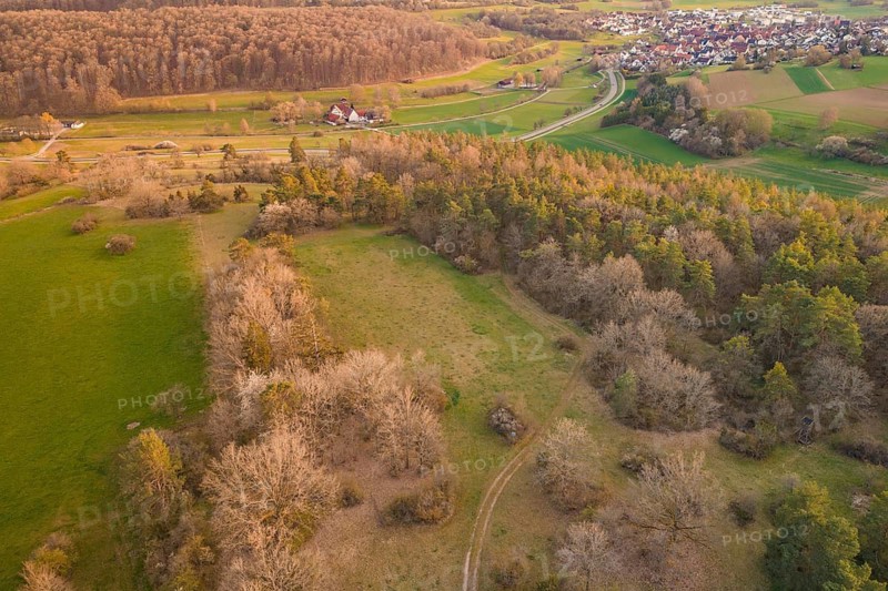 View of an idyllic landscape with forest, open fields and a distant village in golden evening sun, e-bike tour, old sports field in Gechingen, Hecken and Gäu region, Calw district, Germany