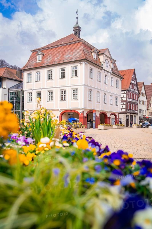 Flowers adorn the market square with a historic, pastel-coloured building and half-timbered houses, Nagold Town Hall, Black Forest, Germany