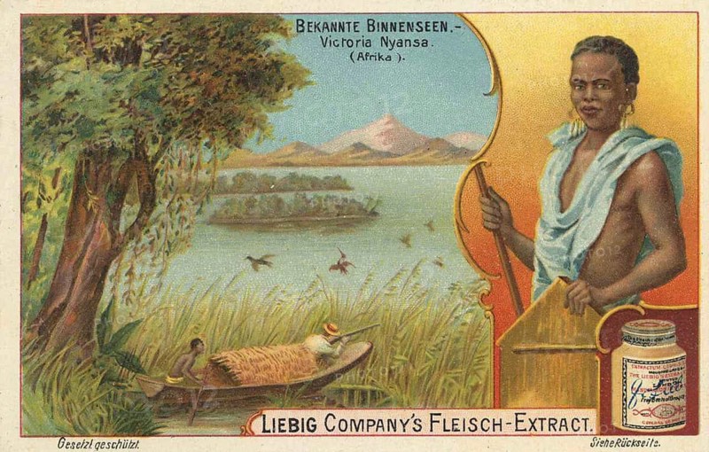 Picture series Known inland lake with natives, Lake Victoria, Nyansa, Victoria, Africa, Liebig picture, digitally restored reproduction of a collection picture from ca 1900, public domain, exact date unknown, Native man with spear in a boat at Victoria Nyansa with lush vegetation