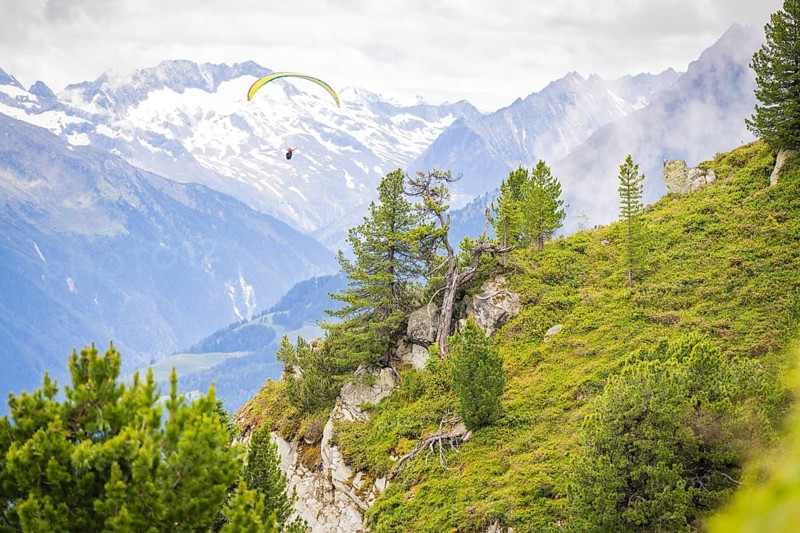 Paraglider flies over a mountainous area in the Alps, adventurous scenery, Penken, Zillertal. Austria