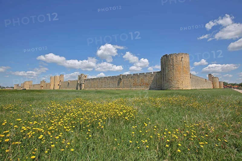Historic town fortification with town gates, town wall, fortress, defence towers, town tower, yellow flower meadow, Aigues-Mortes, Gard, Camargue, Provence, France
