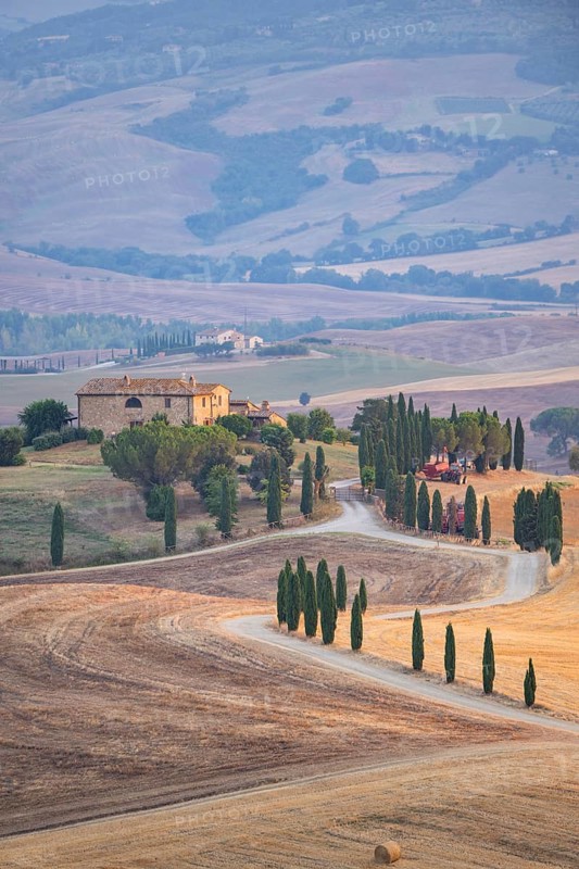Typical Tuscan landscape in Val d'Orcia with hills, trees, fields, cypresses and farm road in autumn, sunset, gladiator film location, San Quirico d'Orcia, Val d'Orcia, Orcia Valley, UNESCO World Heritage Site, Siena Province, Tuscany, Italy