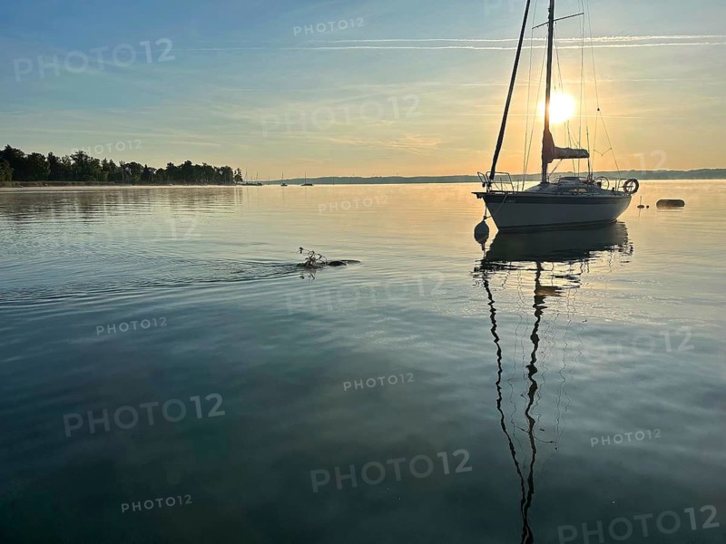 Evening atmosphere, sailing boat on Lake Starnberg, Bavaria, Germany