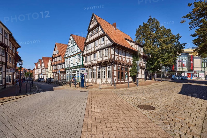 Historic half-timbered houses, trees, blue cloudless sky, crossing street Kleiner Plan with Am heiligen Kreuz, Celle, Lüneburger Heide, district of Celle, Lower Saxony, Germany