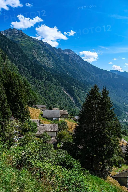 View over the Misox, or Valle Mesolcina, above Mesocco, Canton Graubünden, Switzerland