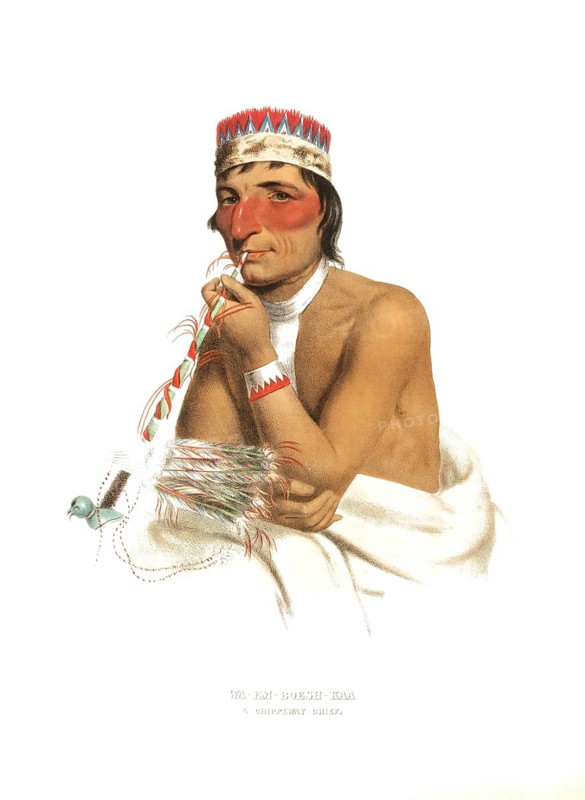 American Indian, Native American, Wa-Em-Boesh-Kaa, Chief of the Chippewa Tribe, United States of America, USA, Painting by Charles Bird King (1785, 1862), c. 1840, Historic, digitally restored reproduction from a 19th century original, Record date not stated