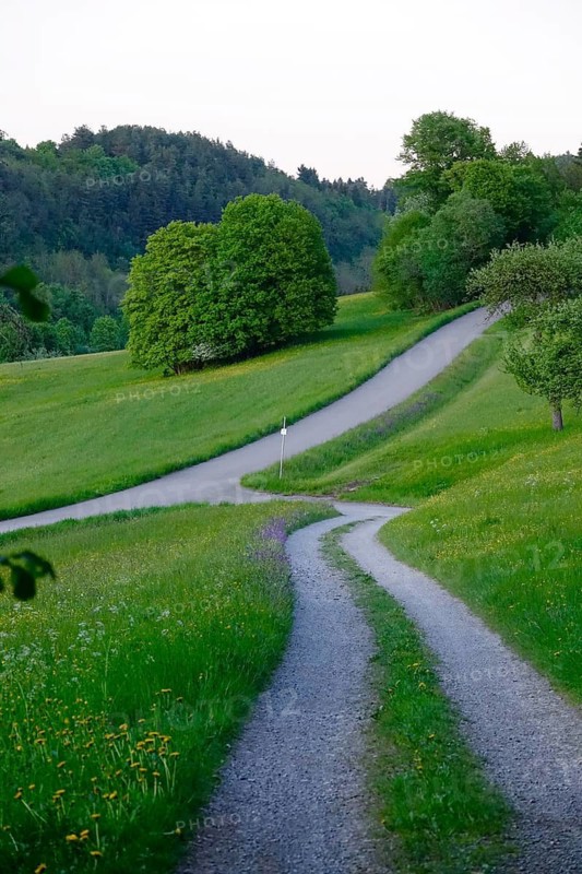 Black Forest, Landscape in May, Baden-Württemberg, Germany