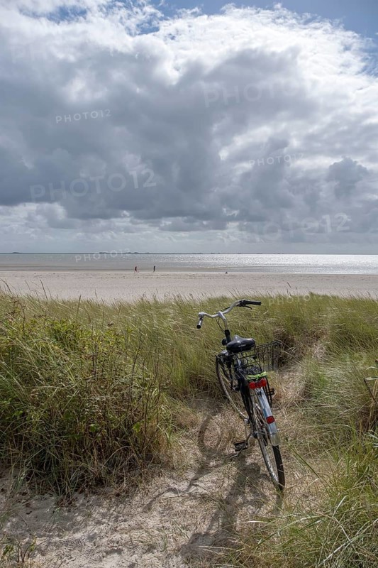 Bicycle in the dunes, North Sea island Föhr, Schleswig-Holstein, Germany