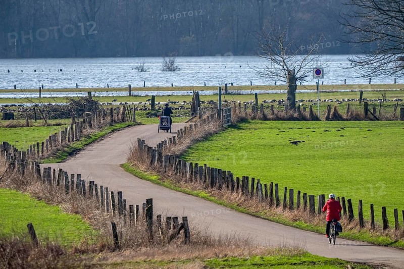 Bislicher Insel, in winter, floods in the floodplains due to Rhine flooding, nature reserve on the Rhine, cyclists, Altrheinarm, near Xanten, Lower Rhine, Wesel district, one of the few floodplain landscapes in Germany, in winter over 20, 000 wild birds, many arctic geese species pause and hibernate here, North Rhine-Westphalia, Germany