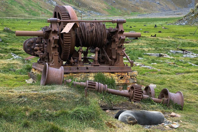Old abandoned whaling station in South Georgia, abandoned, rust, ship, tools, Grytviken, renovated, tourist attraction