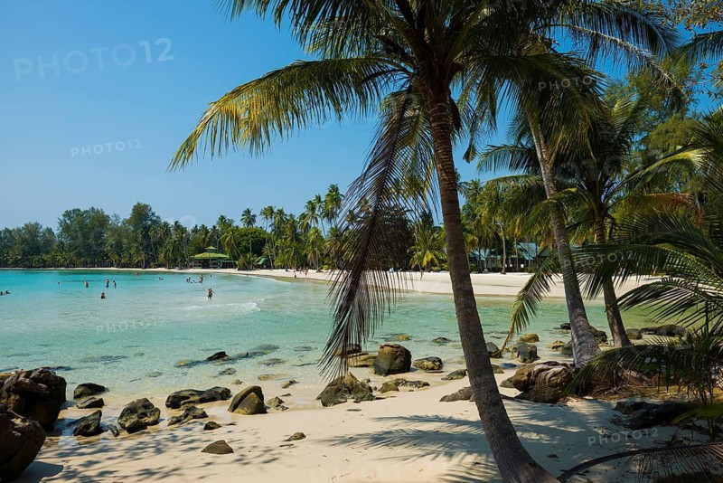 Sandy beach beach with coconut palms, Haad Khlong Hin Beach, Koh Kood, Koh Kut, Gulf of Thailand, Thailand
