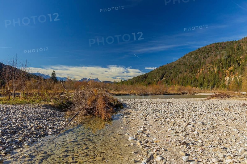 Isar valley nature conservancy area. The wild Isar river flows through its gravel bed past driftwood and entrained trees and bushes . Early morning