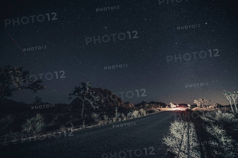 Starry sky in Joshua Tree National Park