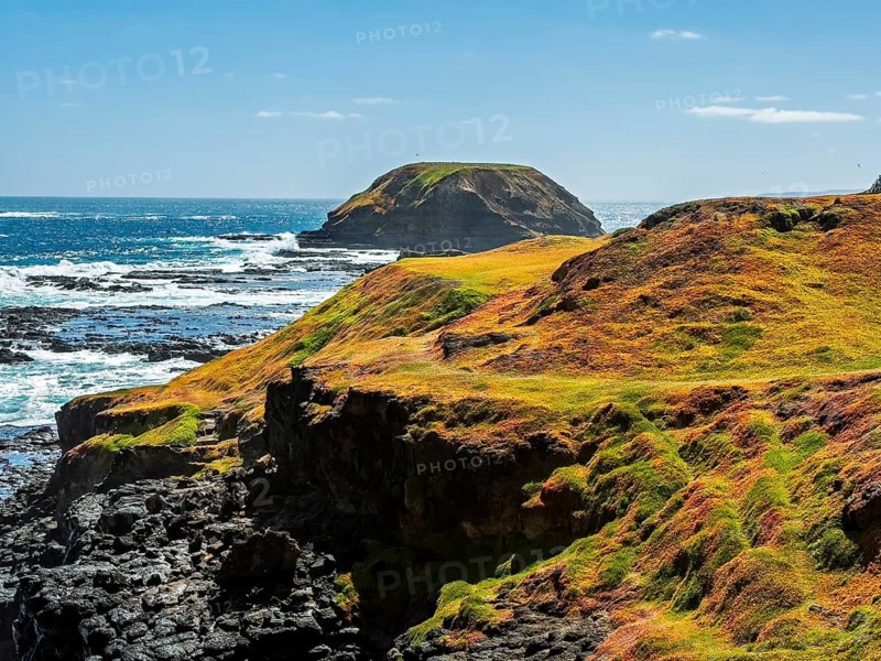 A breathtaking view of rugged coastal cliffs with lush rolling hills extending toward a vibrant blue ocean in Phillip Island, Australia. The contrast of land and sea creates a serene landscape