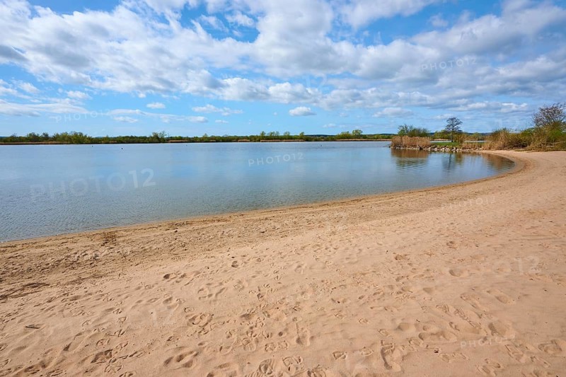 A quiet sandy beach on a lake under a blue sky with white clouds, Altmühlsee, Muhr am See, Gunzenhausen, Franconian Lake District, Middle Franconia, Bavaria, Germany